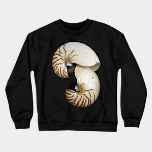 Nautilus Shell - photography by Avril Thomas - Adelaide / South Australia Artist Crewneck Sweatshirt